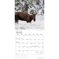 Cabin Country 2026 Wall Calendar