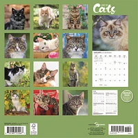 Love Of Cats 2026 Wall Calendar