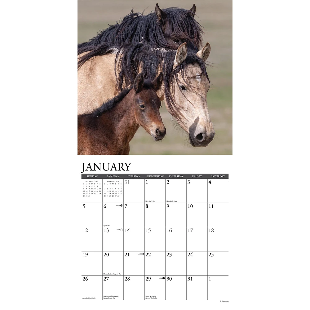 Wild Horses Wall 2025 Calendar