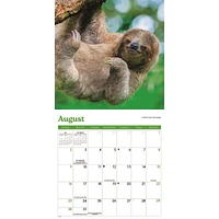 Sloths 2026 Mini Calendar