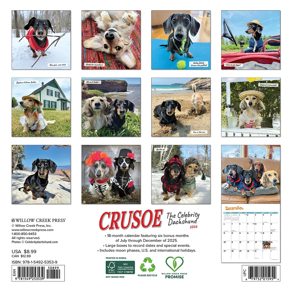 Crusoe Dachshund 2026 Mini Calendar