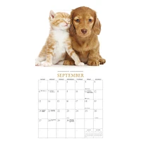 Kittens And Friends Wall  2026 Calendar