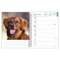Golden Retrievers 2026 Engagement Calendar - Online Exclusive
