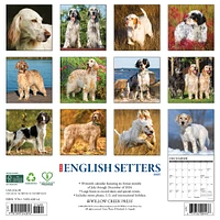 Just English Setters Wall 2025 Calendar - Online Exclusive