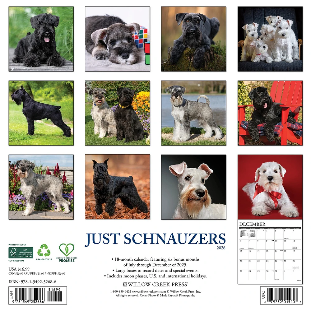Just Schnauzers 2026 Wall Calendar - Online Exclusive
