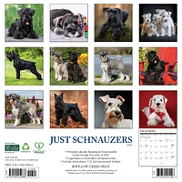 Just Schnauzers 2026 Wall Calendar - Online Exclusive
