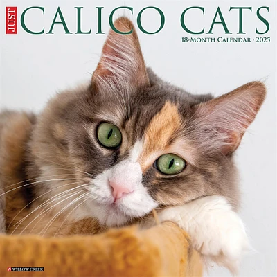 Just Calico Cats Wall 2025 Calendar