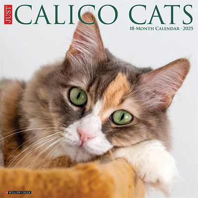 Just Calico Cats Wall 2025 Calendar