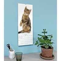 Cats 2026 Poster Calendar