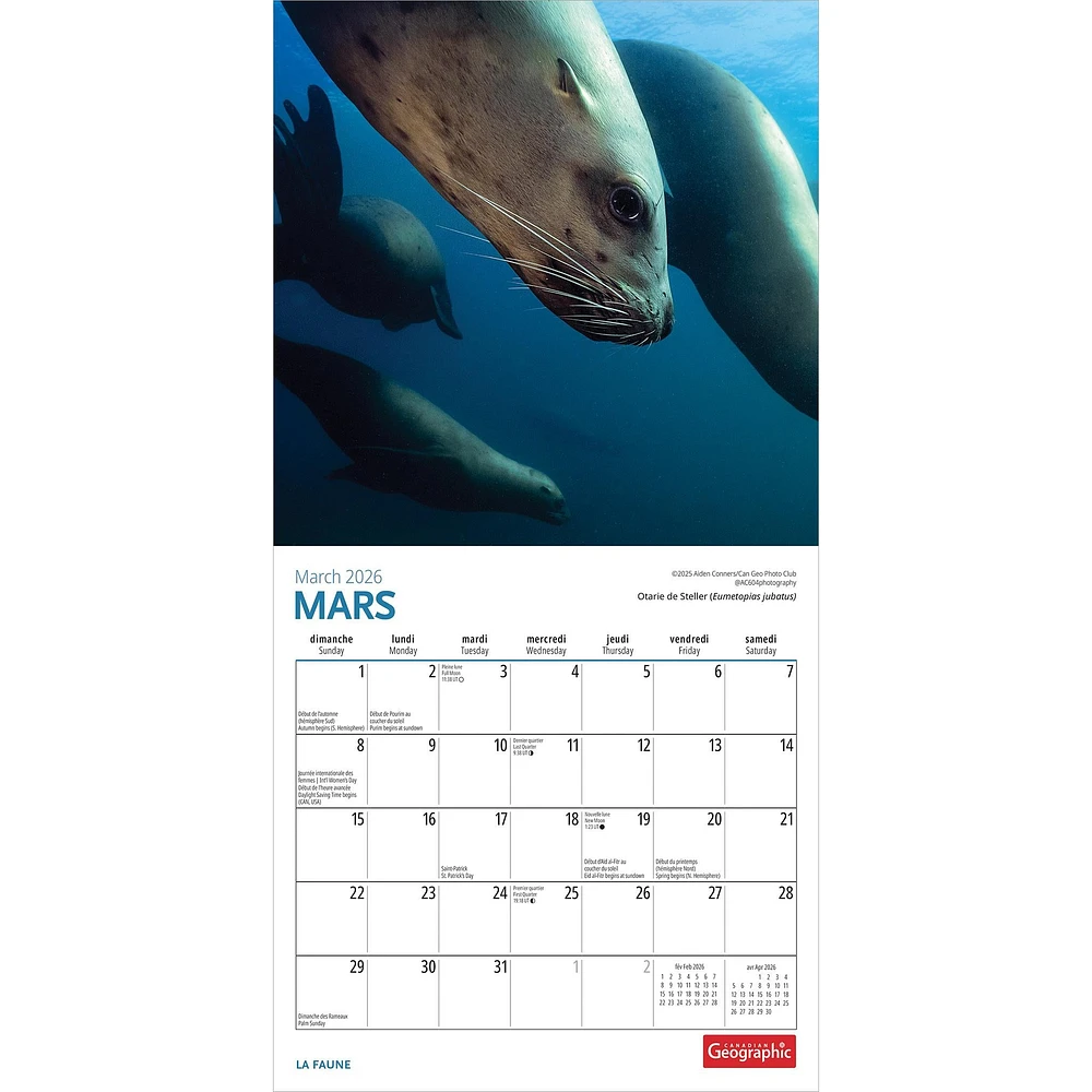 Canadian Geographic La Faune 2026 Mini Calendar (French)