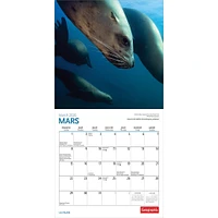 Canadian Geographic La Faune 2026 Mini Calendar (French)