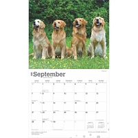 For the Love of Golden Retrievers Deluxe Wall 2025 Calendar