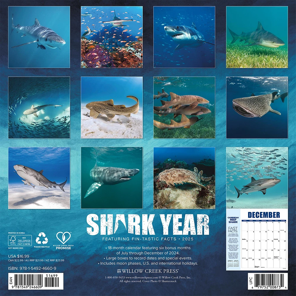 Shark Year Wall 2025 Calendar