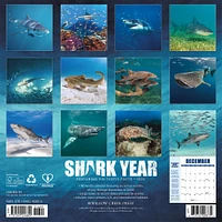 Shark Year Wall 2025 Calendar