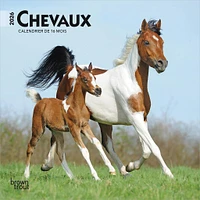 Chevaux 2026 Mini Calendar (French)