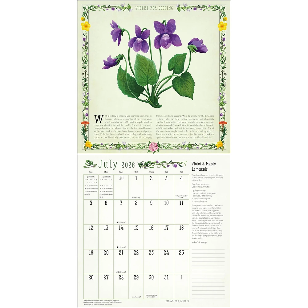 Kitchen Witch 2026 Wall Calendar - Online Exclusive