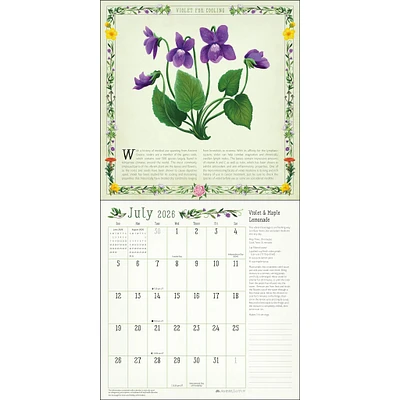 Kitchen Witch 2026 Wall Calendar - Online Exclusive