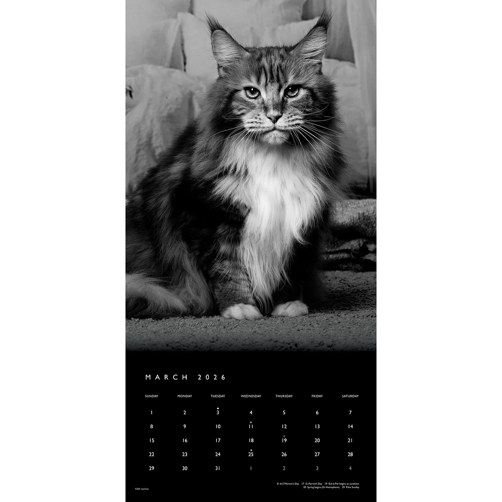 Cat The Regal 2026 Wall Calendar - Online Exclusive