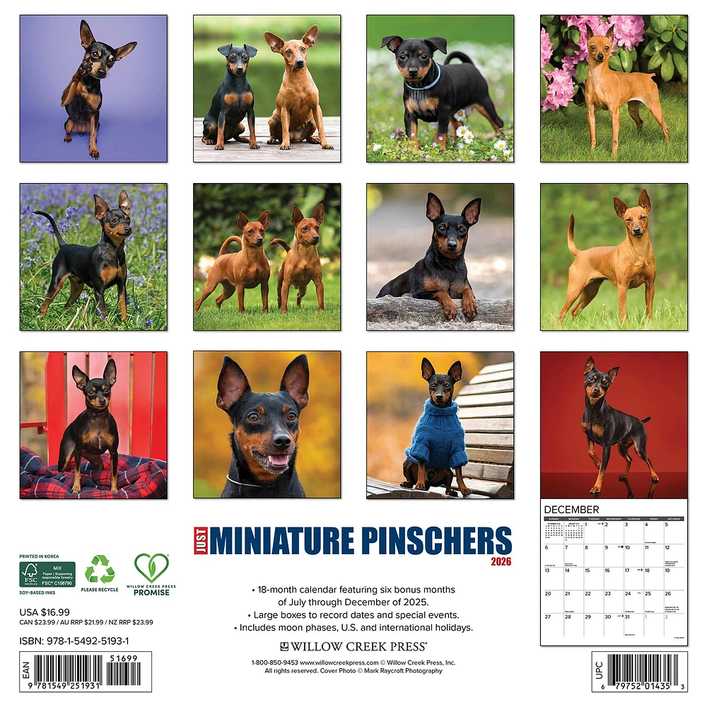 Just Miniature Pinschers 2026 Wall Calendar - Online Exclusive