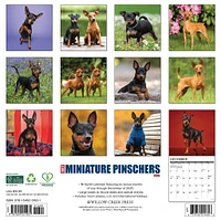 Just Miniature Pinschers 2026 Wall Calendar - Online Exclusive