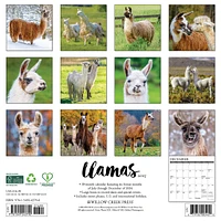 Llamas Wall 2025 Calendar