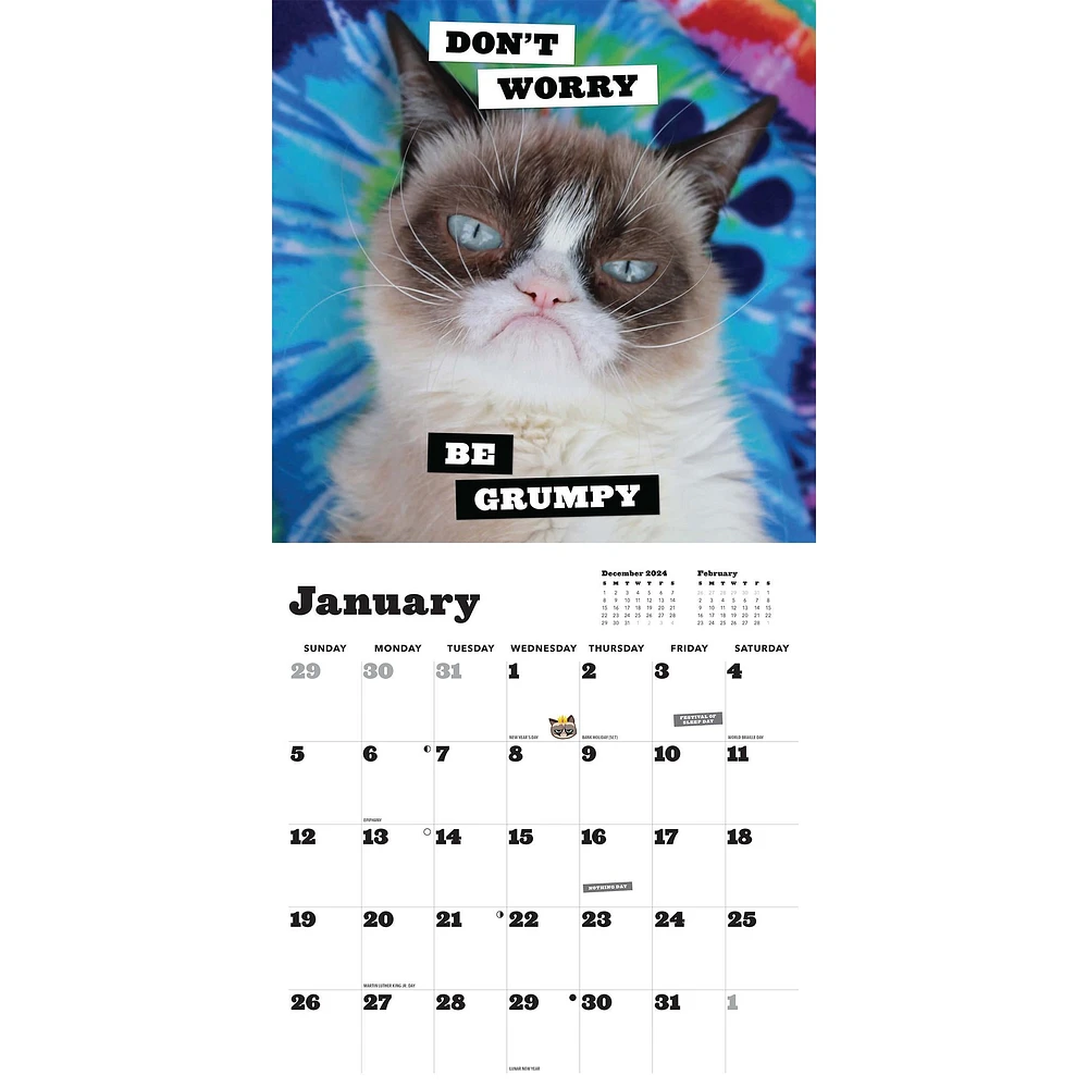 Grumpy Cat Wall 2025 Calendar