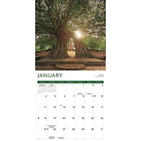 Trees 2026 Wall Calendar