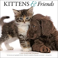 Kittens And Friends Wall 2025 Calendar