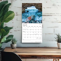 Newfoundland And Labrador 2026 Wall Calendar