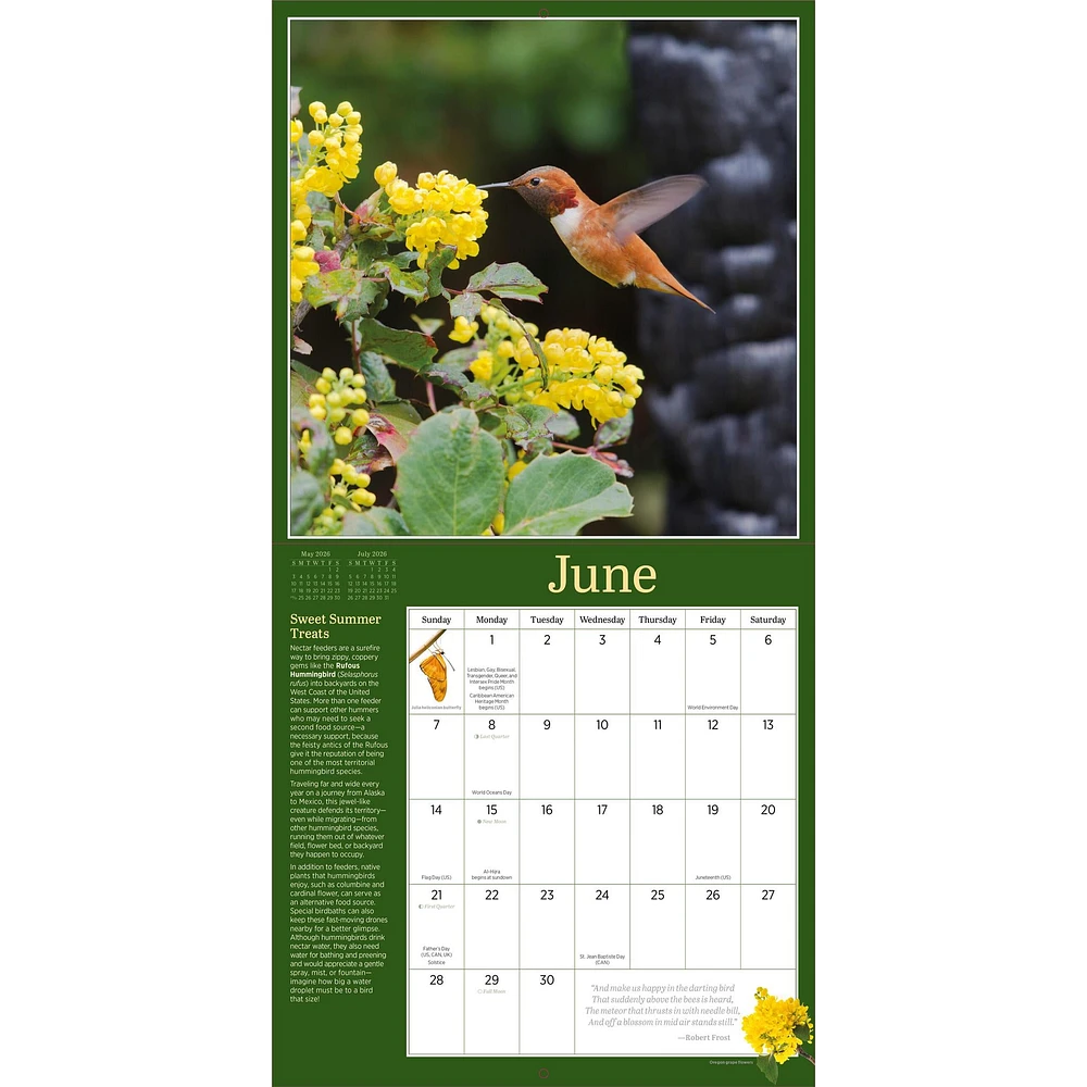 Audubon Birds In The Garden 2026 Wall Calendar