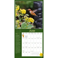 Audubon Birds In The Garden 2026 Wall Calendar