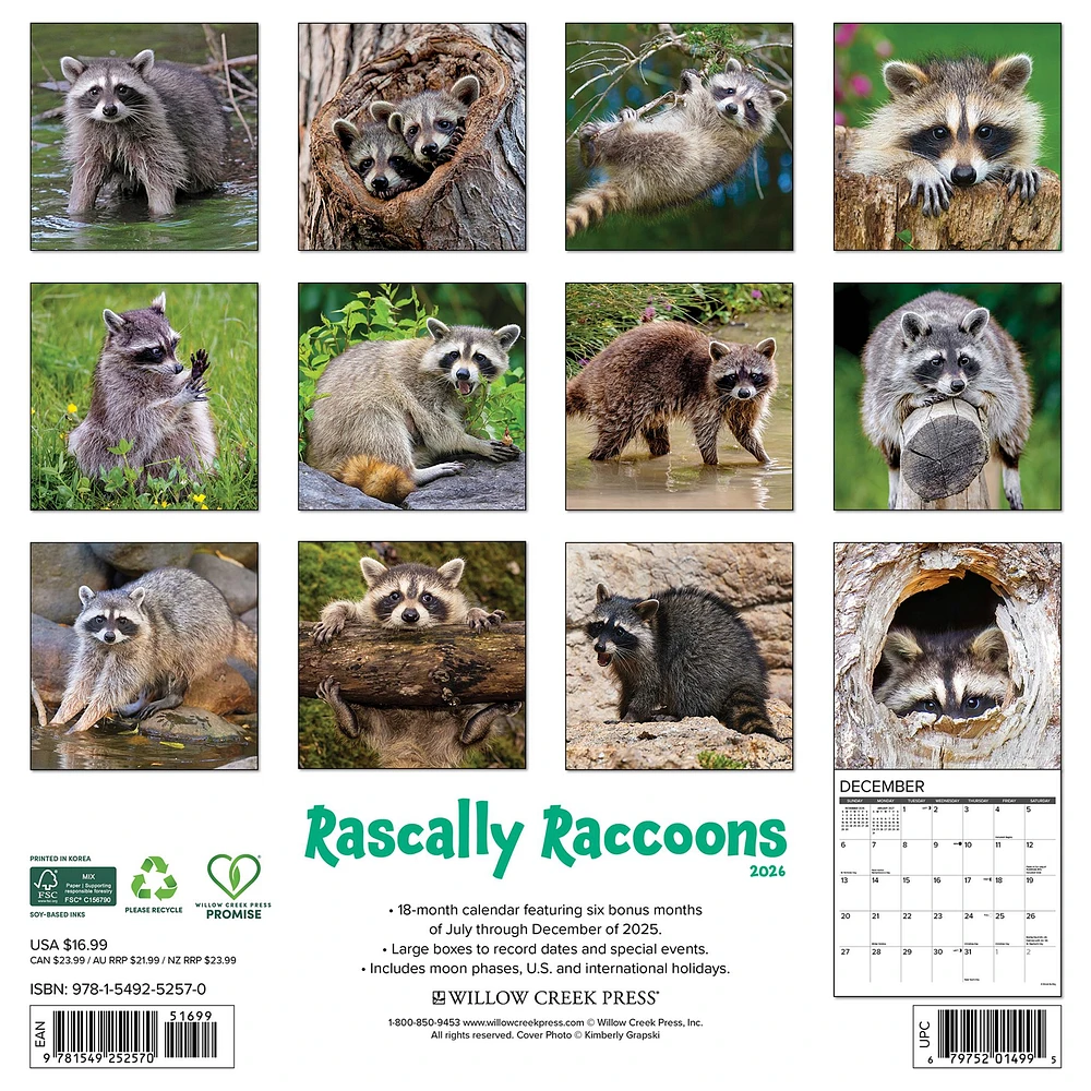 Rascally Raccoons 2026 Wall Calendar