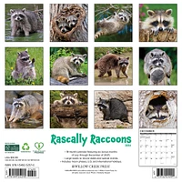 Rascally Raccoons 2026 Wall Calendar
