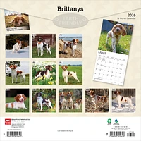 Brittanys 2026 Wall Calendar - Online Exclusive