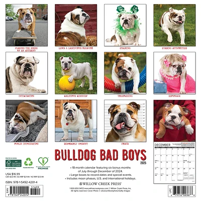 Bulldog Bad Boys Wall 2025 Calendar