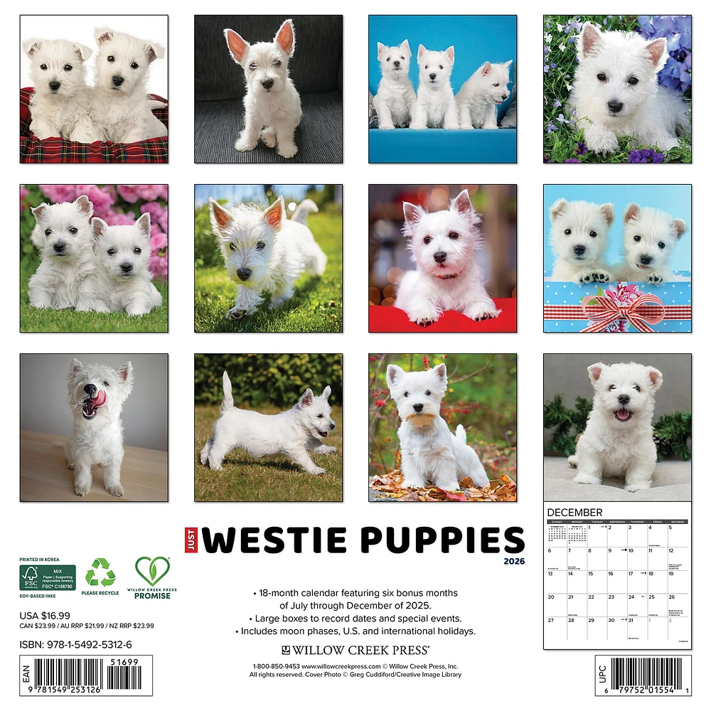 Westie Puppies 2026 Wall Calendar - Online Exclusive