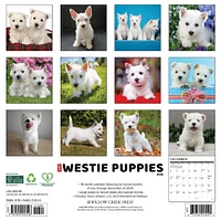 Westie Puppies 2026 Wall Calendar - Online Exclusive