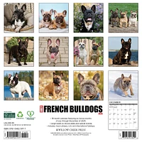 Just French Bulldogs 2026 Wall Calendar