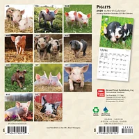 Piglets 2026 Mini Calendar