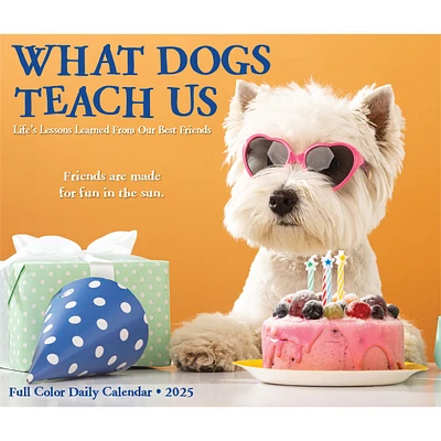 What Dogs Teach Us Box 2025 Calendar