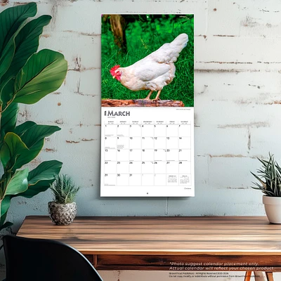 Chickens 2026 Wall Calendar - Online Exclusive