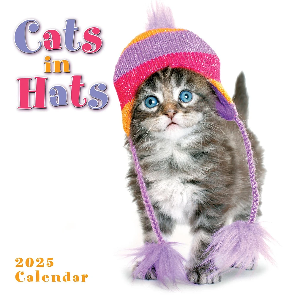 Cats In Hats Mini 2025 Calendar