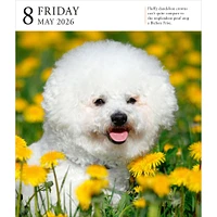 Dog Gallery 2026 Box Calendar