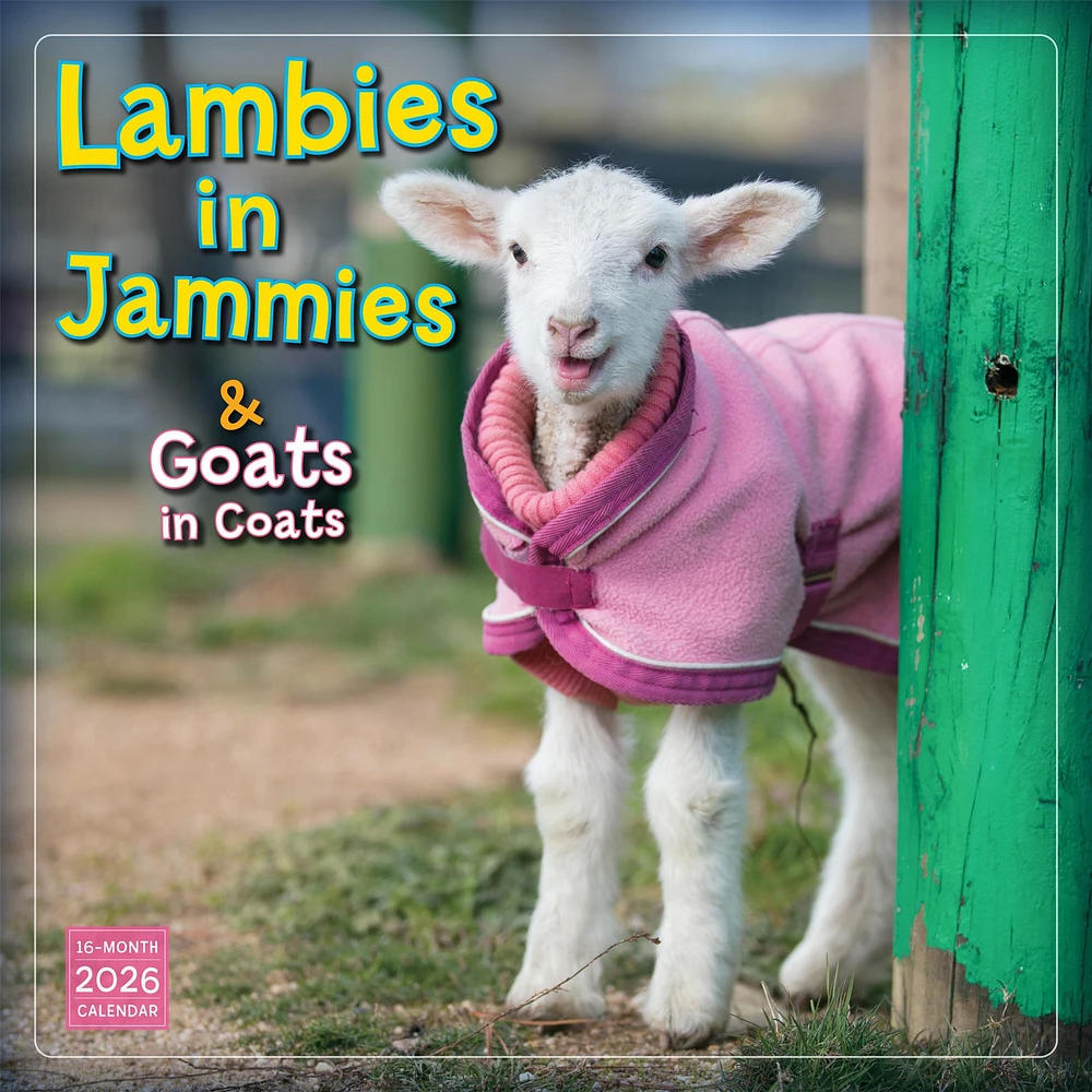 Lambies In Jammies And Goats In Coats 2026 Wall Calendar