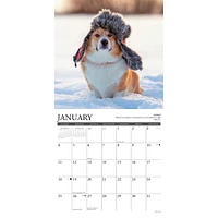 Corgi Rules 2026 Wall Calendar - Online Exclusive