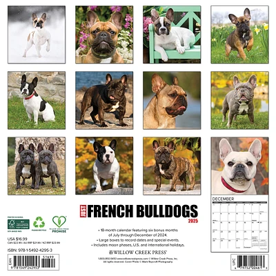 Just French Bulldogs Wall 2025 Calendar