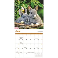 Rabbits 2026 Wall Calendar