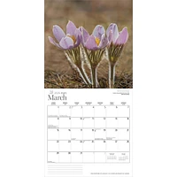 Wildflowers Of Canada 2026 Wall Calendar