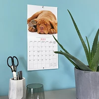 Puppies And Friends Mini  2026 Calendar