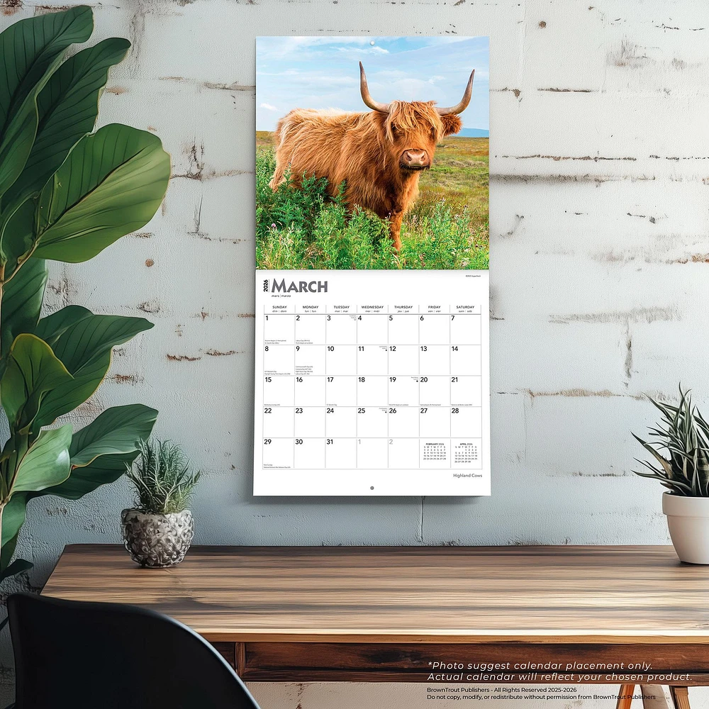 Highland Cows 2026 Wall Calendar